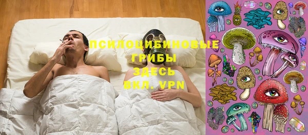 скорость mdpv Каменка